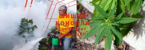 соль ск Липки