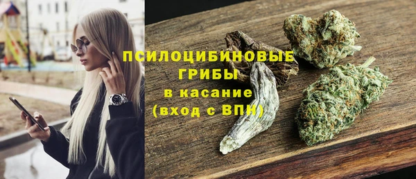 хмурый Ладушкин