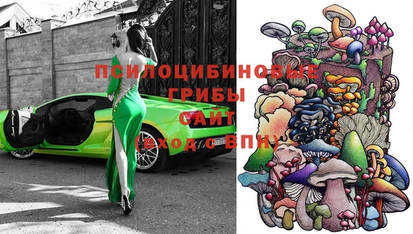 молекула духа Лихославль