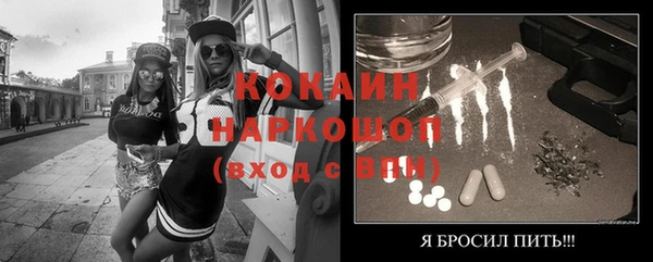 хмурый Ладушкин