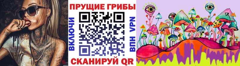 mega ссылка  Новая Усмань  Псилоцибиновые грибы ЛСД 